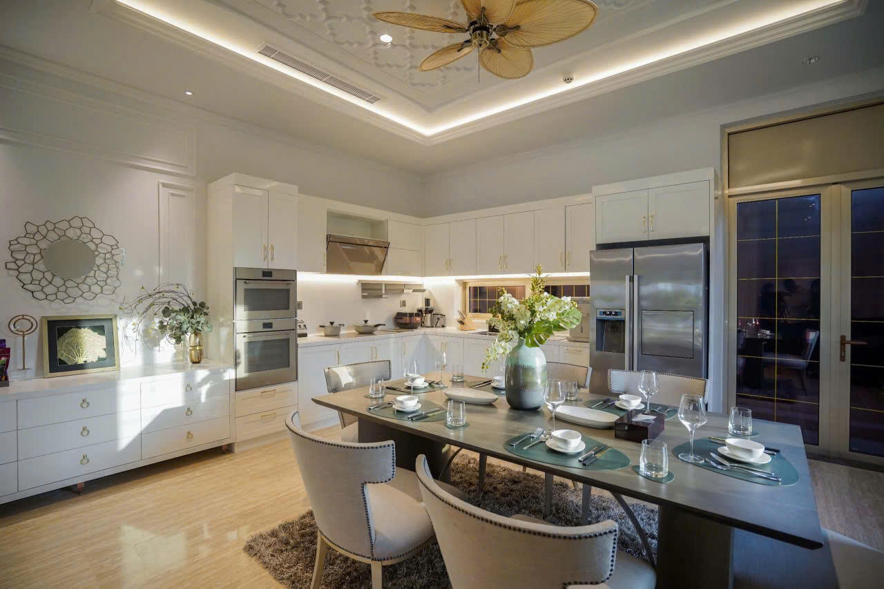 Pavilon shophouses in Hoa Cuong Nam Ward, Hai Chau District