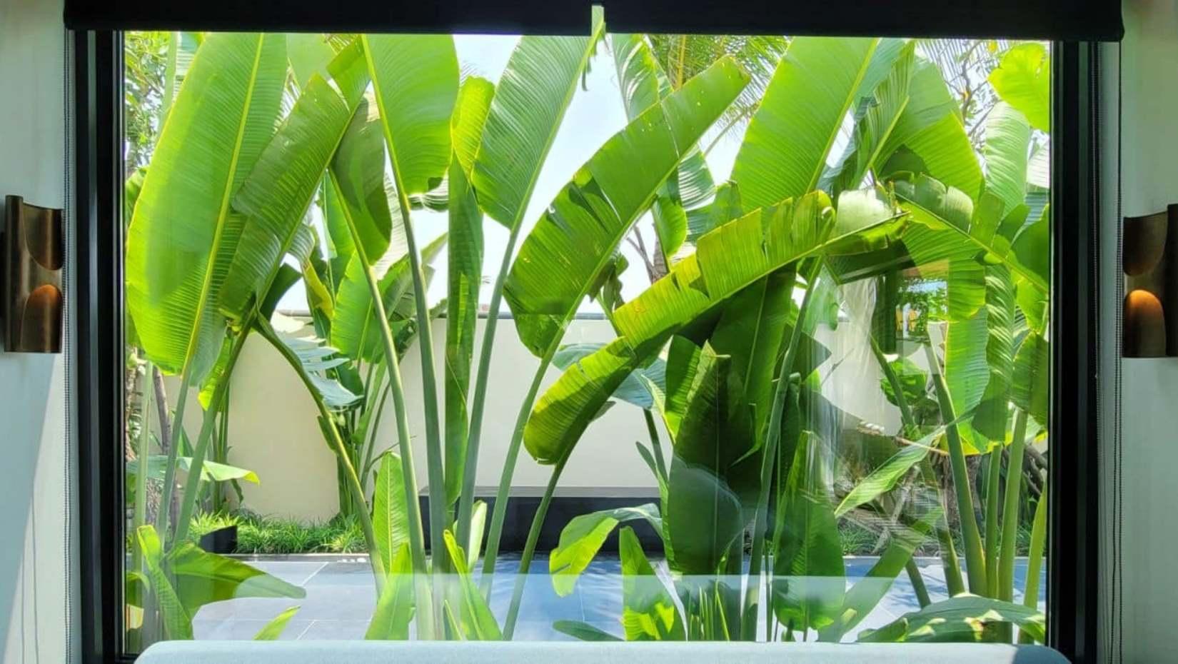 The Residences at Mandarin Oriental